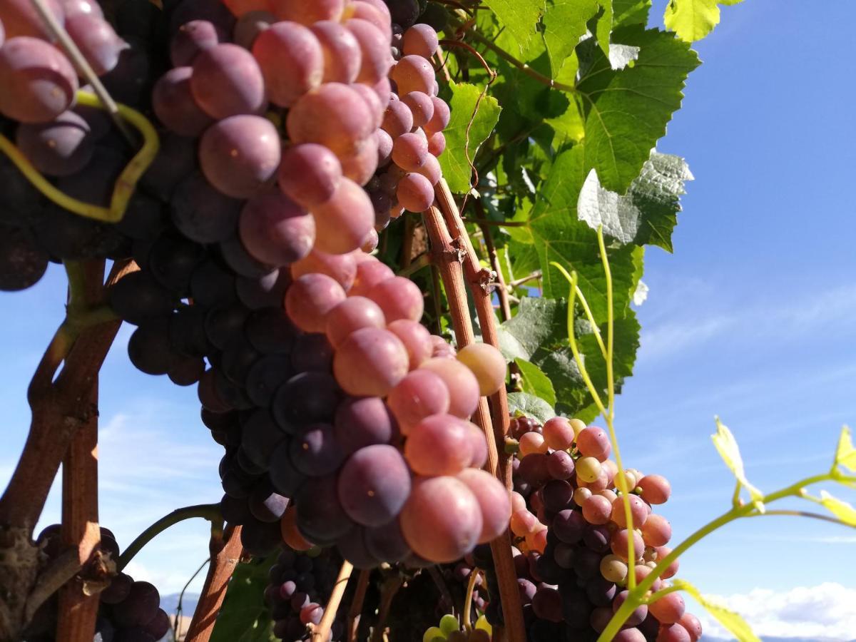 Ansitz Grustdorf Apartment Appiano Sulla Strada Del Vino Luaran gambar