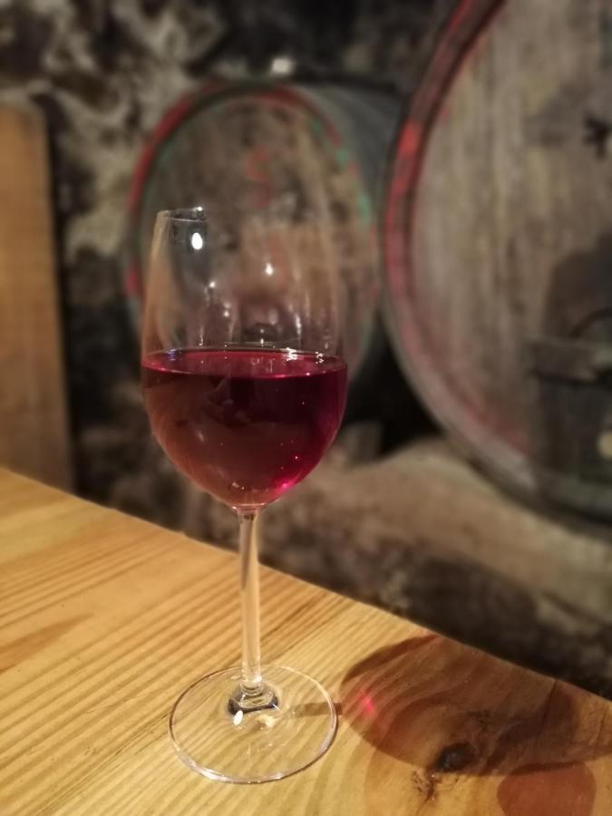 Ansitz Grustdorf Apartment Appiano Sulla Strada Del Vino Luaran gambar