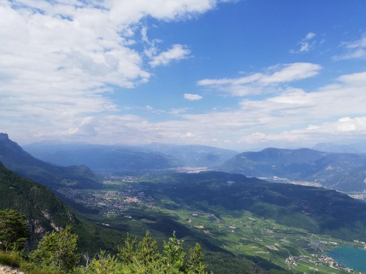 Ansitz Grustdorf Apartment Appiano Sulla Strada Del Vino Luaran gambar