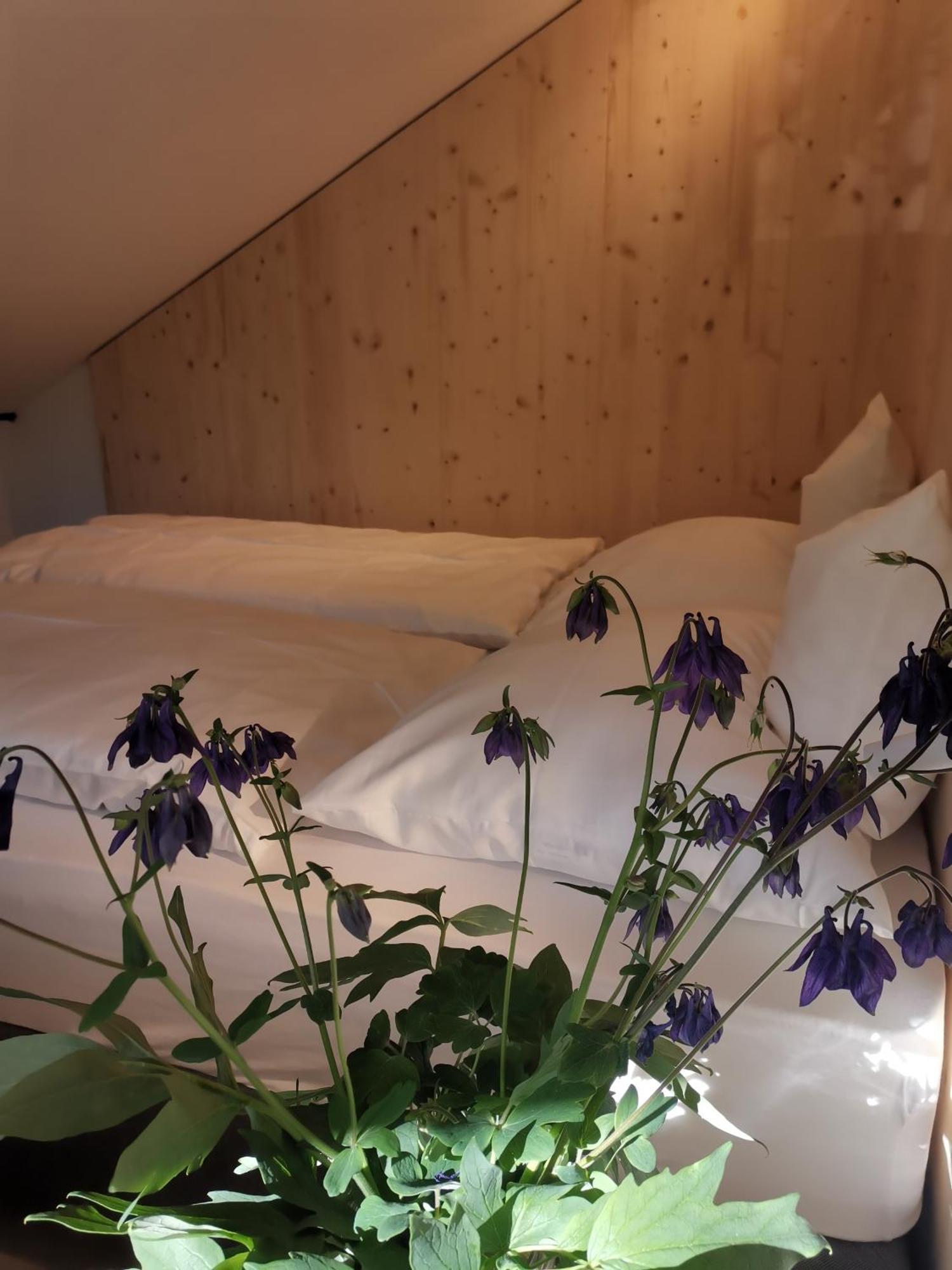 Ansitz Grustdorf Apartment Appiano Sulla Strada Del Vino Luaran gambar